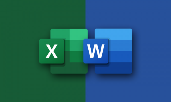 Microsoft Excel & Word 2019: Complete Training Bundle