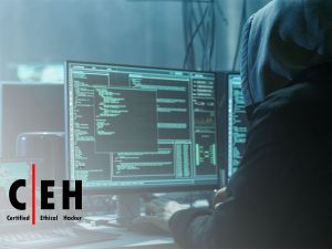 Certified Ethical Hacker v11 Course