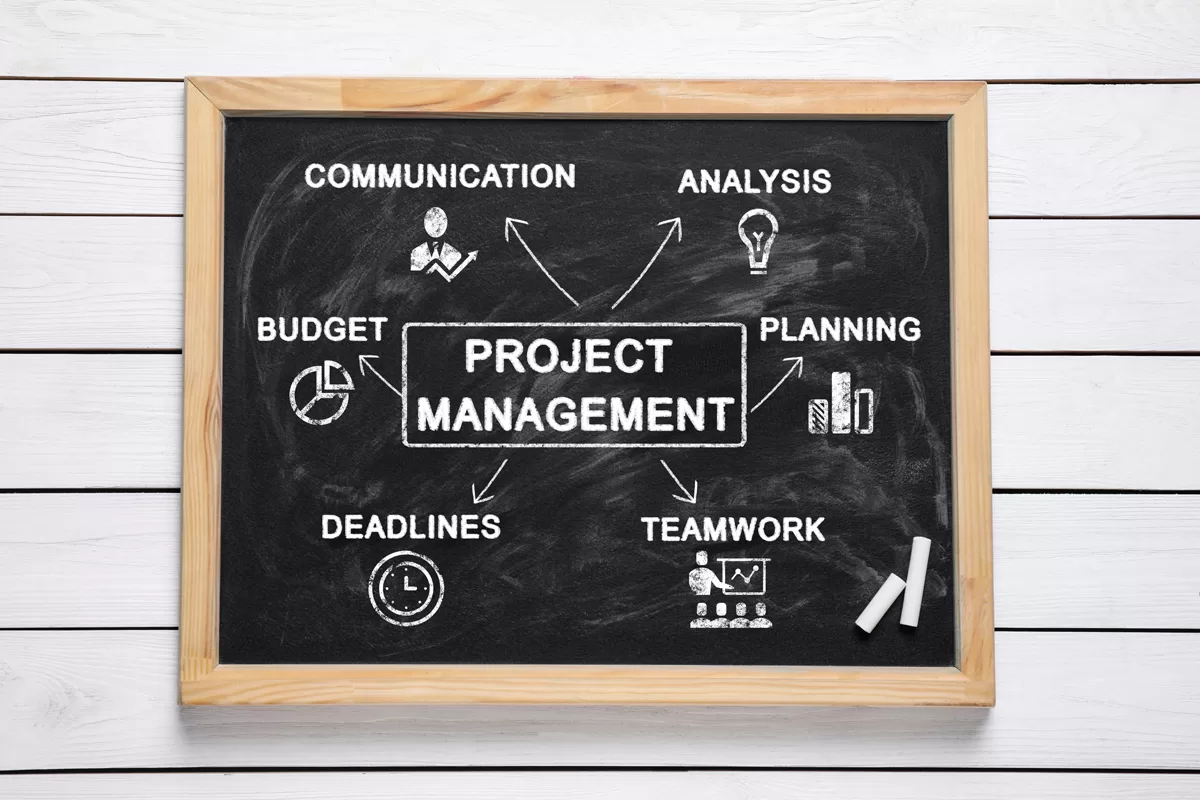 Project Management Course